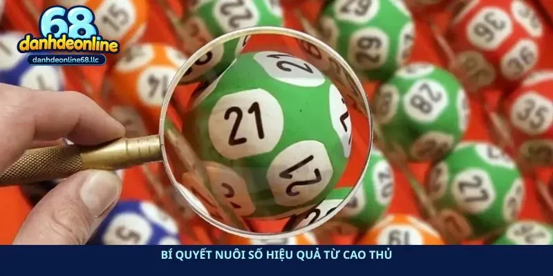 Bí quyết nuôi số hiệu quả từ cao thủ