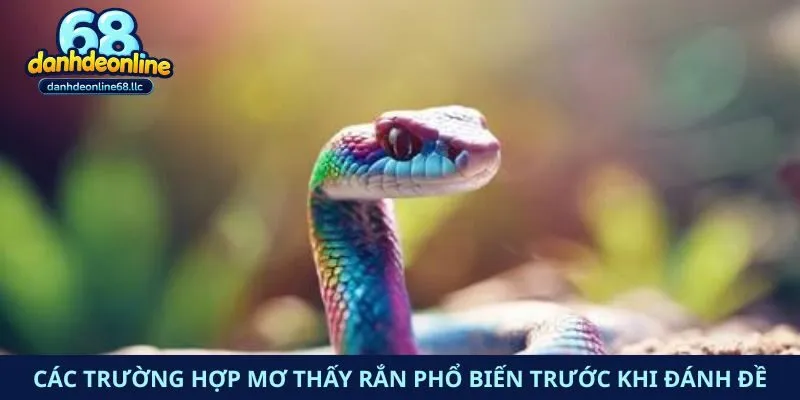 Các trường hợp mơ thấy rắn phổ biến trước khi đánh đề