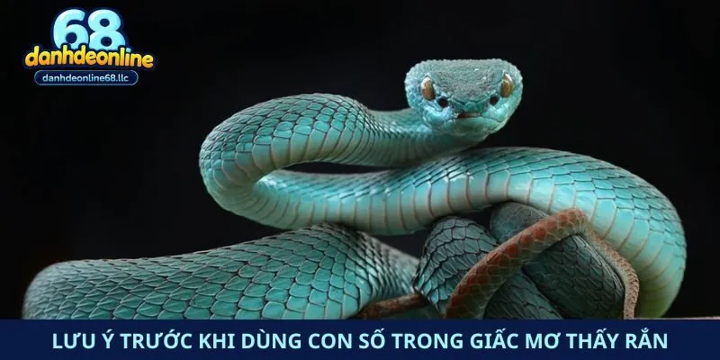Lưu ý trước khi dùng con số trong giấc mơ thấy rắn